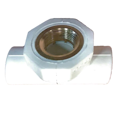 پایین تنه شیرفلکه